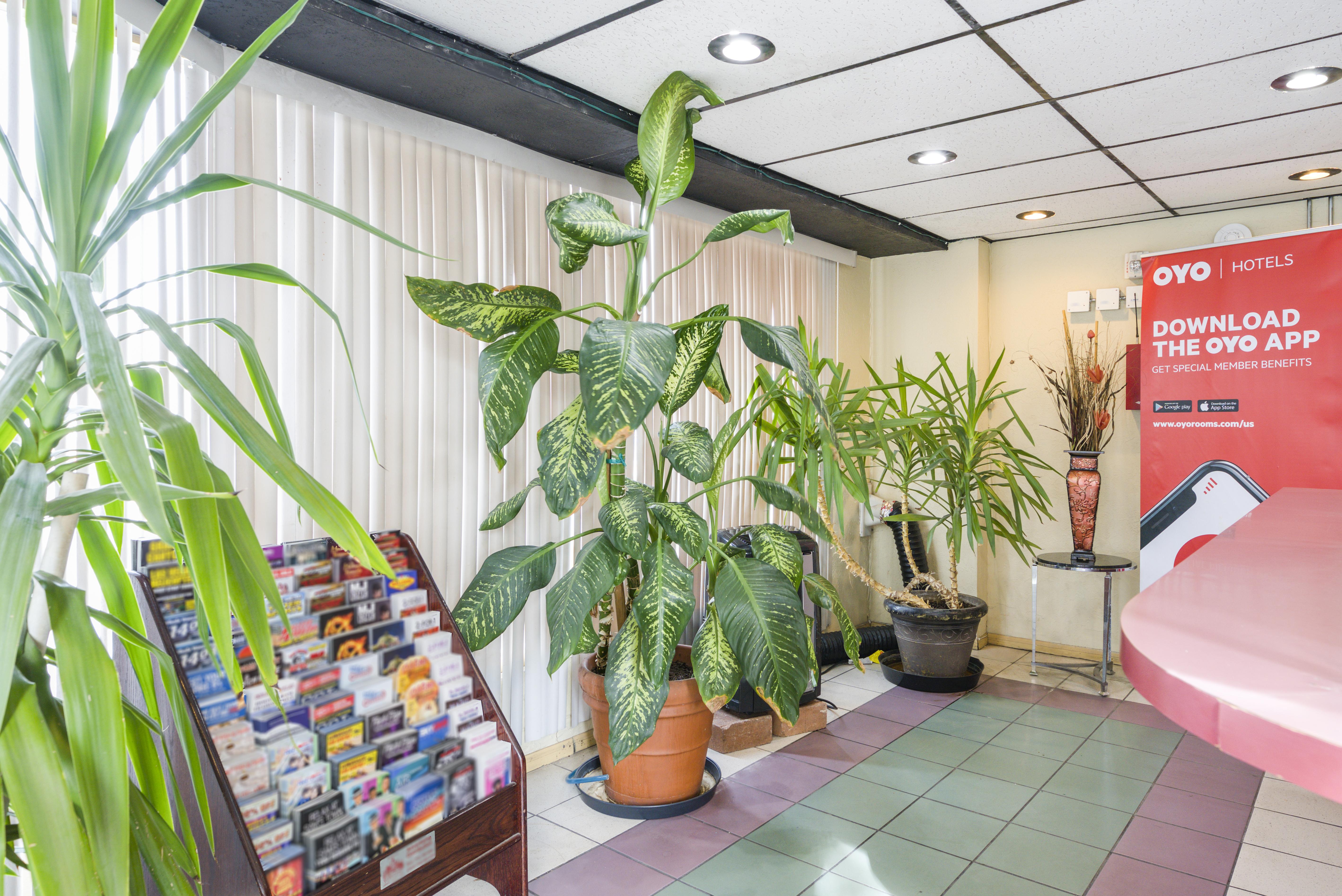Oyo Oasis Motel Las Vegas I-15 المظهر الخارجي الصورة